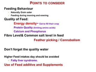POINTS TO CONSIDER
Feeding Behaviour
 Naturally Grain eater
 Feeding during morning and evening
Quality of Feed:
Energy density~ Eat to fill their crop
Protein Quality (limiting amino acids)
Calcium and Phosphorus
Fibre Level& Common salt level in feed
Feather picking / Cannabalism
Don’t forget the quality water
Higher Feed intakes day should be avoided
 Fatty liver syndrome.
Use of Feed additive and Supplements
 