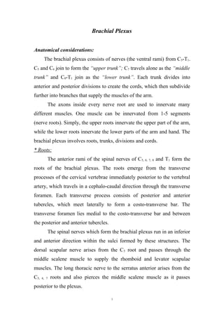 Brachial Plexus
Anatomical considerations:
The brachial plexus consists of nerves (the ventral rami) from C5-T1.
C5 and C6 join to form the “upper trunk”; C7 travels alone as the “middle
trunk” and C8-T1 join as the “lower trunk”. Each trunk divides into
anterior and posterior divisions to create the cords, which then subdivide
further into branches that supply the muscles of the arm.
The axons inside every nerve root are used to innervate many
different muscles. One muscle can be innervated from 1-5 segments
(nerve roots). Simply, the upper roots innervate the upper part of the arm,
while the lower roots innervate the lower parts of the arm and hand. The
brachial plexus involves roots, trunks, divisions and cords.
* Roots:
The anterior rami of the spinal nerves of C5, 6, 7, 8 and T1 form the
roots of the brachial plexus. The roots emerge from the transverse
processes of the cervical vertebrae immediately posterior to the vertebral
artery, which travels in a cephalo-caudal direction through the transverse
foramen. Each transverse process consists of posterior and anterior
tubercles, which meet laterally to form a costo-transverse bar. The
transverse foramen lies medial to the costo-transverse bar and between
the posterior and anterior tubercles.
The spinal nerves which form the brachial plexus run in an inferior
and anterior direction within the sulci formed by these structures. The
dorsal scapular nerve arises from the C5 root and passes through the
middle scalene muscle to supply the rhomboid and levator scapulae
muscles. The long thoracic nerve to the serratus anterior arises from the
C5, 6, 7 roots and also pierces the middle scalene muscle as it passes
posterior to the plexus.
1
 