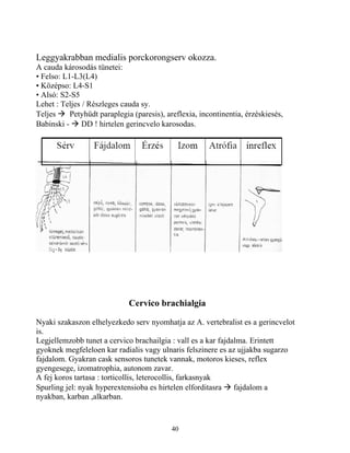 neurologia | PDF