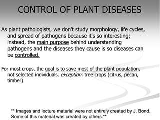 CONTROL OF PLANT DISEASES
As plant pathologists, we don't study morphology, life cycles,
and spread of pathogens because it's so interesting;
instead, the main purpose behind understanding
pathogens and the diseases they cause is so diseases can
be controlled.
For most crops, the goal is to save most of the plant population,
not selected individuals. exception: tree crops (citrus, pecan,
timber)
** Images and lecture material were not entirely created by J. Bond.
Some of this material was created by others.**
 