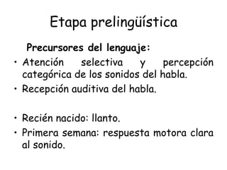 Etapa prelingüística Precursores del lenguaje: Atención selectiva y percepción categórica de los sonidos del habla. Recepción auditiva del habla. Recién nacido: llanto. Primera semana: respuesta motora clara al sonido. 