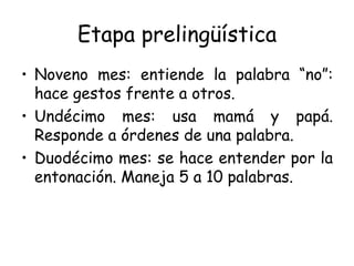 Etapa prelingüística Noveno mes: entiende la palabra “no”: hace gestos frente a otros. Undécimo mes: usa mamá y papá. Responde a órdenes de una palabra. Duodécimo mes: se hace entender por la entonación. Maneja 5 a 10 palabras. 
