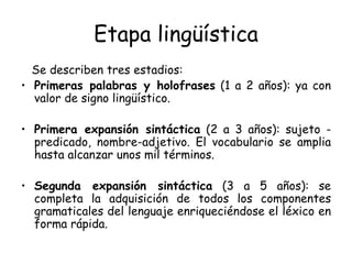 Etapa lingüística Se describen tres estadios: Primeras palabras y holofrases  (1 a 2 años): ya con valor de signo lingüístico. Primera expansión sintáctica  (2 a 3 años): sujeto - predicado, nombre-adjetivo. El vocabulario se amplia hasta alcanzar unos mil términos. Segunda expansión sintáctica  (3 a 5 años): se completa la adquisición de todos los componentes gramaticales del lenguaje enriqueciéndose el léxico en forma rápida. 