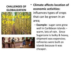 CHALLENGES OF
GLOBALIZATION
• Climate affects location of
economic activities:
influences types of crops
that can be grown in an
area;
– Example: sugar cane grew
well in Caribbean islands –
warm, lots of rain. Since
Sugarcane is bulky & heavy,
shipment was expensive;
refineries were built on
islands because it was
cheaper.
 