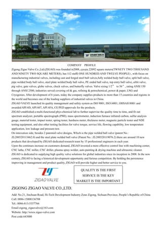 zigao-valve-brochure-pdf