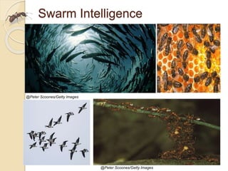 Swarm Intelligence
@Peter Scoones/Getty Images
@Peter Scoones/Getty Images
 