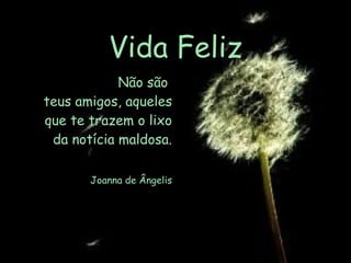 Vida Feliz Não são  teus amigos, aqueles que te trazem o lixo da notícia maldosa. Joanna de Ângelis 