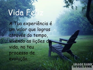A Tua experiência é um valor que logras através do tempo, vivendo as lições da vida, no teu processo de evolução.  Vida Feliz 