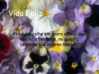 Vida Feliz Ninguém colhe em seara alheia, que não haja semeado, no que diz respeito aos valores morais.   