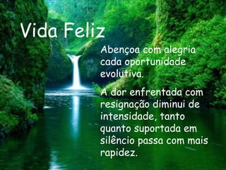 Vida Feliz Abençoa com alegria cada oportunidade evolutiva. A dor enfrentada com resignação diminui de intensidade, tanto quanto suportada em silêncio passa com mais rapidez.   