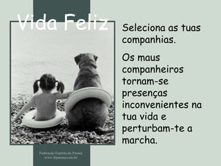 Vida Feliz Federação Espírita do Paraná www.feparana.com.br Seleciona as tuas companhias. Os maus companheiros tornam-se presenças inconvenientes na tua vida e perturbam-te a marcha.   
