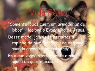 Vida Feliz “ Somente lobos caem em armadilhas de lobos” – leciona o Evangelho de Jesus. Desse modo, jamais te permitas o espinho da humilhação ou da desonra, quando agredido ou malsinado. És o que vives interiormente e não aquilo de que te acusam. 