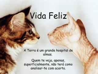 Vida Feliz A Terra é um grande hospital de almas.  Quem te veja, apenas, superficialmente, não terá como analisar-te com acerto. 