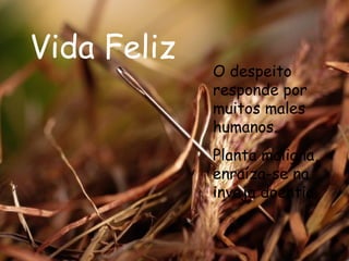 Vida Feliz O despeito responde por muitos males humanos. Planta maligna, enraíza-se na inveja doentia.   