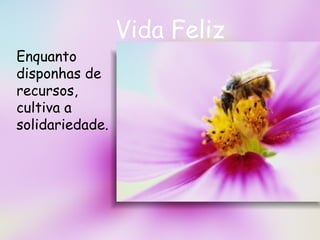 Vida Feliz Enquanto disponhas de recursos, cultiva a solidariedade.   