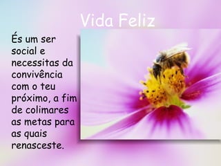 Vida Feliz És um ser social e necessitas da convivência com o teu próximo, a fim de colimares as metas para as quais renasceste.  