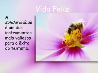 Vida Feliz A  solidariedade  é um dos instrumentos mais valiosos para o êxito  do tentame.  