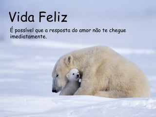 Vida Feliz É possível que a resposta do amor não te chegue imediatamente.  