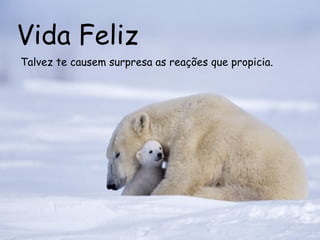Vida Feliz Talvez te causem surpresa as reações que propicia.  