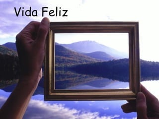Vida Feliz 