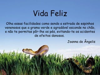 Vida Feliz Olha essas facilidades como sendo a estrada de espinhos venenosos que a grama verde e agradável esconde no chão, e não te permitas pôr-lhe os pés, evitando-te os acidentes de efeitos danosos.  Joanna de Ângelis 