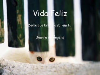 Vida Feliz Deixe que brilhe o sol em ti.  Joanna de Ângelis 