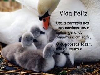 Vida Feliz Usa a cortesia nos teus movimentos e ações, gerando simpatia e amizade. O que possas fazer, não delegues a outrem.   