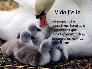 Vida Feliz Há pequenas e cansativas tarefas a eles afetas que podes executar sem te cansares nem os mortificar.  