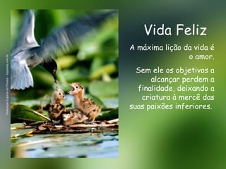 Vida Feliz Federação Espírita do Paraná – feparana.com.br A máxima lição da vida é o amor. Sem ele os objetivos a alcançar perdem a finalidade, deixando a criatura à mercê das suas paixões inferiores.   