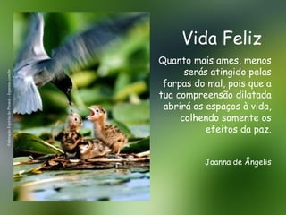 Vida Feliz Federação Espírita do Paraná – feparana.com.br Quanto mais ames, menos serás atingido pelas farpas do mal, pois que a tua compreensão dilatada abrirá os espaços à vida, colhendo somente os efeitos da paz. Joanna de Ângelis 