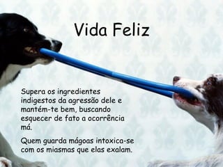 Vida Feliz Supera os ingredientes indigestos da agressão dele e mantém-te bem, buscando esquecer de fato a ocorrência má. Quem guarda mágoas intoxica-se com os miasmas que elas exalam.  
