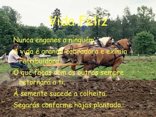 Vida Feliz Nunca enganes a ninguém. A vida é grande cobradora e exímia retribuidora. O que faças com os outros sempre retornará a ti. À semente sucede a colheita. Segarás conforme hajas plantado. 