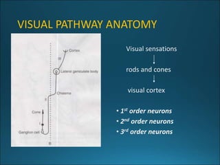Visual Pathway Graphic 734_Visual_Pathway_lesions.pptx