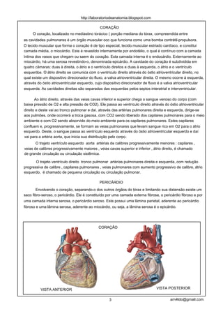 http://laboratoriodeanatomia.blogspot.com

                                              CORAÇÃO
     O coração, localizado no mediastino torácico ( porção mediana do tórax, compreendida entre
as cavidades pulmonares é um órgão muscular oco que funciona como uma bomba contrátil-propulsora.
O tecido muscular que forma o coração é de tipo especial, tecido muscular estriado cardíaco, e constitui
camada média, o miocárdio. Este é revestido internamente por endotélio, o qual é contínuo com a camada
íntima dos vasos que chegam ou saem do coração. Esta camada interna é o endocárdio. Externamente ao
miocárdio, há uma serosa revestindo-o, denominada epicárdio. A cavidade do coração é subdividida em
quatro câmaras: duas à direita, o átrio e o ventrículo direitos e duas à esquerda, o átrio e o ventrículo
esquerdos. O átrio direito se comunica com o ventrículo direito através do óstio atrioventricular direito, no
qual existe um dispositivo direcionador do fluxo, a valva atrioventricular direita. O mesmo ocorre à esquerda,
através do óstio atrioventricular esquerdo, cujo dispositivo direcionador de fluxo é a valva atrioventricular
esquerda. As cavidades direitas são separadas das esquerdas pelos septos interatrial e interventricular.

       Ao átrio direito, através das veias cavas inferior e superior chega o sangue venoso do corpo (com
baixa pressão de O2 e alta pressão de CO2). Ele passa ao ventrículo direito através do óstio atrioventricular
direito e deste vai ao tronco pulmonar e daí, através das artérias pulmonares direita e esquerda, dirige-se
aos pulmões, onde ocorrerá a troca gasosa, com CO2 sendo liberado dos capilares pulmonares para o meio
ambiente e com O2 sendo absorvido do meio ambiente para os capilares pulmonares. Estes capilares
confluem e, progressivamente, se formam as veias pulmonares que levam sangue rico em O2 para o átrio
esquerdo. Deste, o sangue passa ao ventrículo esquerdo através do óstio atrioventricular esquerdo e daí
vai para a artéria aorta, que inicia sua distribuição pelo corpo.
       O trajeto ventrículo esquerdo aorta artérias de calibres progressivamente menores : capilares ,
veias de calibres progressivamente maiores , veias cavas superior e inferior , átrio direito, é chamado
de grande circulação ou circulação sistêmica.

       O trajeto ventrículo direito tronco pulmonar artérias pulmonares direita e esquerda, com redução
progressiva de calibre , capilares pulmonares , veias pulmonares com aumento progressivo de calibre, átrio
esquerdo, é chamado de pequena circulação ou circulação pulmonar.

                                              PERICÁRDIO
       Envolvendo o coração, separando-o dos outros órgãos do tórax e limitando sua distensão existe um
saco fibro-seroso, o pericárdio. Ele é constituído por uma camada externa fibrosa, o pericárdio fibroso e por
uma camada interna serosa, o pericárdio seroso. Este possui uma lâmina parietal, aderente ao pericárdio
fibroso e uma lâmina serosa, aderente ao miocárdio, ou seja, a lâmina serosa é o epicárdio.




                                             CORAÇÃO




          VISTA ANTERIOR                                                         VISTA POSTERIOR


                                                    3                                    arn4ldo@gmail.com
 
