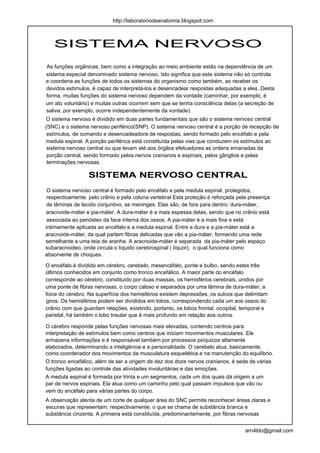 http://laboratoriodeanatomia.blogspot.com



   SISTEMA NERVOSO
As funções orgânicas, bem como a integração ao meio ambiente estão na dependência de um
sistema especial denominado sistema nervoso. Isto significa que este sistema não só controla
e coordena as funções de todos os sistemas do organismo como também, ao receber os
devidos estímulos, é capaz de interpretá-los e desencadear respostas adequadas a eles. Desta
forma, muitas funções do sistema nervoso dependem da vontade (caminhar, por exemplo, é
um ato voluntário) e muitas outras ocorrem sem que se tenha consciência delas (a secreção de
saliva, por exemplo, ocorre independentemente da vontade).
O sistema nervoso é dividido em duas partes fundamentais que são o sistema nervoso central
(SNC) e o sistema nervoso periférico(SNP). O sistema nervoso central é a porção de recepção de
 estímulos, de comando e desencadeadora de respostas, sendo formado pelo encéfalo e pela
medula espinal. A porção periférica está constituída pelas vias que conduzem os estímulos ao
 sistema nervoso central ou que levam até aos órgãos efetuadores as ordens emanadas da
 porção central, sendo formado pelos nervos cranianos e espinais, pelos gânglios e pelas
 terminações nervosas.

                  SISTEMA NERVOSO CENTRAL
 O sistema nervoso central é formado pelo encéfalo e pela medula espinal, protegidos,
 respectivamente. pelo crânio e pela coluna vertebral Esta proteção é reforçada pela presença
 de lâminas de tecido conjuntivo, as meninges. Elas são, de fora para dentro: dura-máter,
aracnoide-máter e pia-máter. A dura-máter é a mais espessa delas, sendo que no crânio está
 associada ao periósteo da face interna dos ossos. A pia-máter é a mais fina e está
intimamente aplicada ao encéfalo e a medula espinal. Entre a dura e a pia-máter está a
aracnoide-máter, da qual partem fibras delicadas que vão a pia-máter, formando uma rede
semelhante a uma teia de aranha. A aracnoide-máter é separada da pia-máter pelo espaço
subaracnoideo, onde circula o líquido cerebrospinal ( líquor), o qual funciona como
absorvente de choques.

O encéfalo é dividido em cérebro, cerebelo, mesencéfalo, ponte e bulbo, sendo estes três
últimos conhecidos em conjunto como tronco encefálico. A maior parte do encéfalo
corresponde ao cérebro, constituído por duas massas, os hemisférios cerebrais, unidos por
uma ponte de fibras nervosas, o corpo caloso e separados por uma lâmina de dura-máter, a
foice do cérebro. Na superfície dos hemisférios existem depressões, os sulcos que delimitam
giros. Os hemisférios podem ser divididos em lobos, correspondendo cada um aos ossos do
crânio com que guardam relações, existindo, portanto, os lobos frontal, occipital, temporal e
parietal, há também o lobo Insular que é mais profundo em relação aos outros.

O cérebro responde pelas funções nervosas mais elevadas, contendo centros para
interpretação de estímulos bem como centros que iniciam movimentos musculares. Ele
armazena informações e é responsável também por processos psíquicos altamente
elaborados, determinando a inteligência e a personalidade. O cerebelo atua, basicamente,
como coordenador dos movimentos da musculatura esquelética e na manutenção do equilíbrio.
O tronco encefálico, além de ser a origem de dez dos doze nervos cranianos, é sede de várias
funções ligadas ao controle das atividades involuntárias e das emoções.
A medula espinal é formada por trinta e um segmentos, cada um dos quais dá origem a um
par de nervos espinais. Ela atua como um caminho pelo qual passam impulsos que vão ou
vem do encéfalo para várias partes do corpo.
A observação atenta de um corte de qualquer área do SNC permite reconhecer áreas claras e
escuras que representam, respectivamente, o que se chama de substância branca e
substância cinzenta. A primeira está constituída, predominantemente, por fibras nervosas


                                                                                   arn4ldo@gmail.com
 