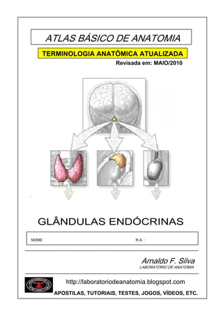 ATLAS BÁSICO DE ANATOMIA
    TERMINOLOGIA ANATÔMICA ATUALIZADA
                              Revisada em: MAIO/2010




´




    GLÂNDULAS ENDÓCRINAS
NOME:                               R.A. :




                                       Arnaldo F. Silva
                                      LABORATÓRIO DE ANATOMIA


             http://laboratoriodeanatomia.blogspot.com
         APOSTILAS, TUTORIAIS, TESTES, JOGOS, VÍDEOS, ETC.
 