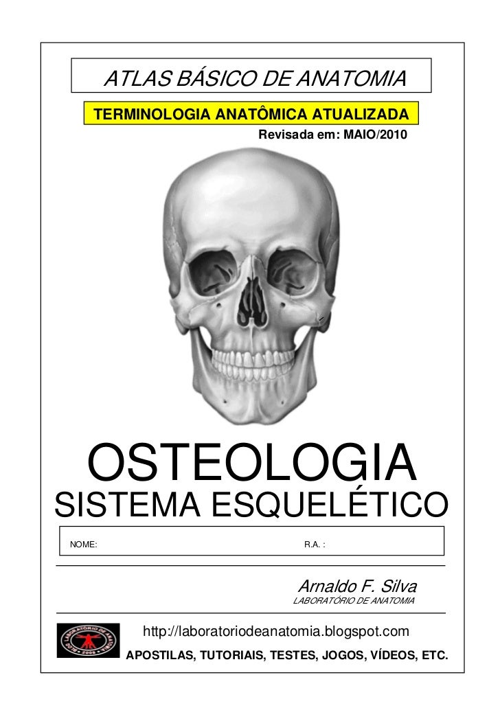 Atlas anatomia pdf