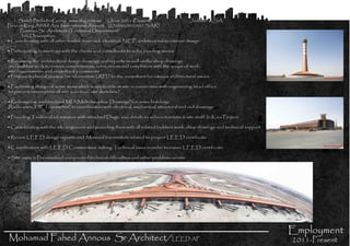 Arch Mohamad Fahed Annous