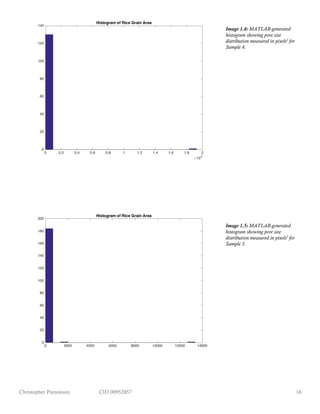 Christopher Parsonson CID 00952857 16
Image 1.4: MATLAB-generated
histogram showing pore size
distribution measured in pixels2
for
Sample 4.
Image 1.5: MATLAB-generated
histogram showing pore size
distribution measured in pixels2
for
Sample 5.
 