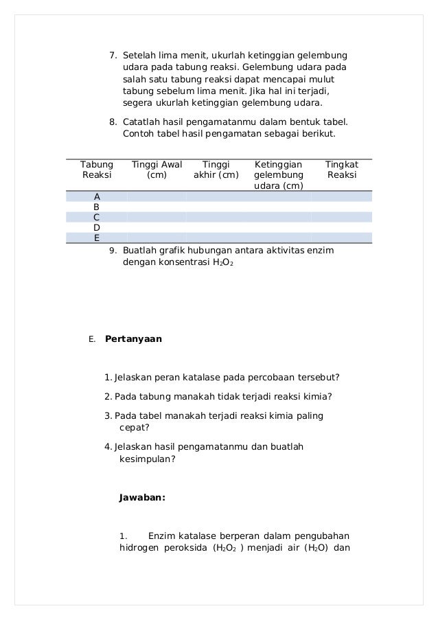 Contoh Laporan Enzim Katalase - Hallow Keep Arts