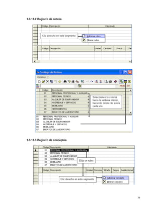 39
1.3.13.2 Registro de rubros
1.3.13.3 Registro de conceptos
 