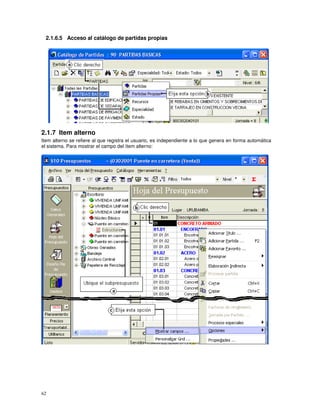 62
2.1.6.5 Acceso al catálogo de partidas propias
2.1.7 Item alterno
Item alterno se refiere al que registra el usuario, es independiente a lo que genera en forma automática
el sistema. Para mostrar el campo del ítem alterno:
 