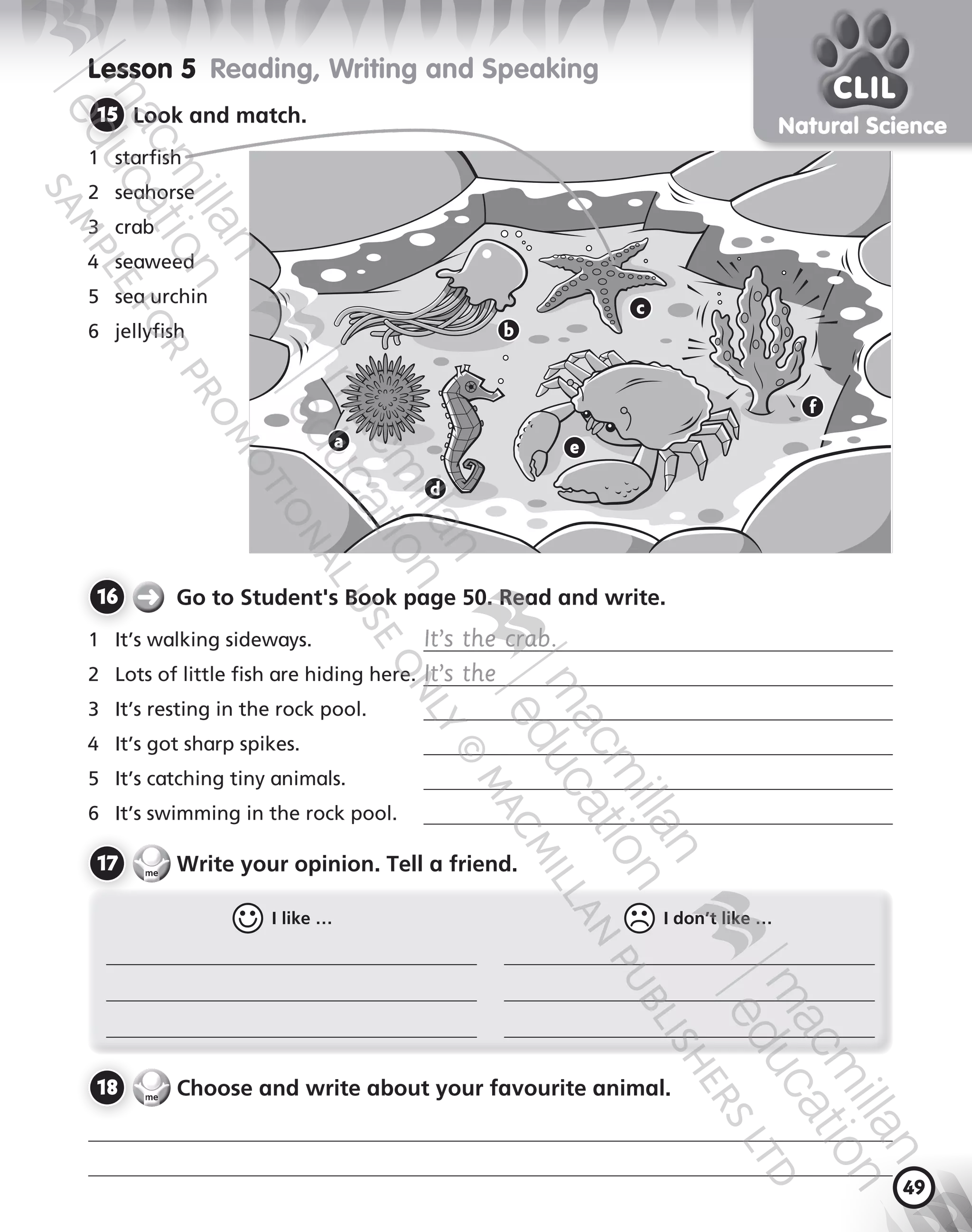 49
Natural Science
CLIL
  I like …   I don’t like …
Lesson 5  Reading, Writing and Speaking
15 	Look and match.
1	 starfish
2	 seahorse
3	 crab
	 seaweed
5	 sea urchin
6	 jellyfish
18 	 Choose and write about your favourite animal.
16 	 ➜ Go to Student's Book page 50. Read and write.
1	 It’s walking sideways.	 It’s the crab.
2	 Lots of little fish are hiding here.	It’s the
3	 It’s resting in the rock pool.	
	 It’s got sharp spikes.	
5	 It’s catching tiny animals.	
6	 It’s swimming in the rock pool.	
17 	 Write your opinion. Tell a friend.
e
c
d
b
f
a
9780230483675_text.indb 49 21/10/2014 15:05
 