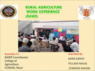Submitted To:
RAWE Coordinator
College of
Agriculture
CCSHAU, Hisar
Submitted By:
RAWE GROUP
VILLAGE-NAGAL
(YAMUNA NAGAR)
 