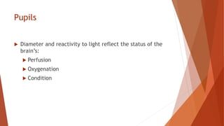 Pupils
 Diameter and reactivity to light reflect the status of the
brain’s:
 Perfusion
 Oxygenation
 Condition
 