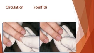 Circulation (cont’d)
 