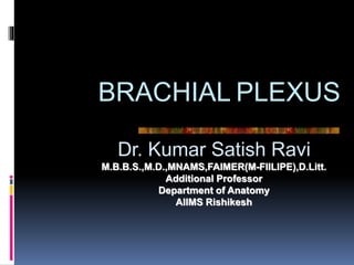 BRACHIAL PLEXUS
Dr. Kumar Satish Ravi
M.B.B.S.,M.D.,MNAMS,FAIMER(M-FIILIPE),D.Litt.
Additional Professor
Department of Anatomy
AIIMS Rishikesh
 