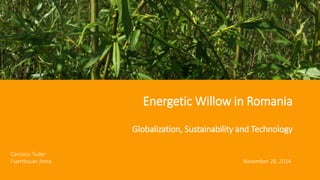 124.06.2014
Energetic Willow in Romania
Globalization, Sustainability and Technology
Carstoiu Tudor
Fuertbauer Anna November 28, 2014
 