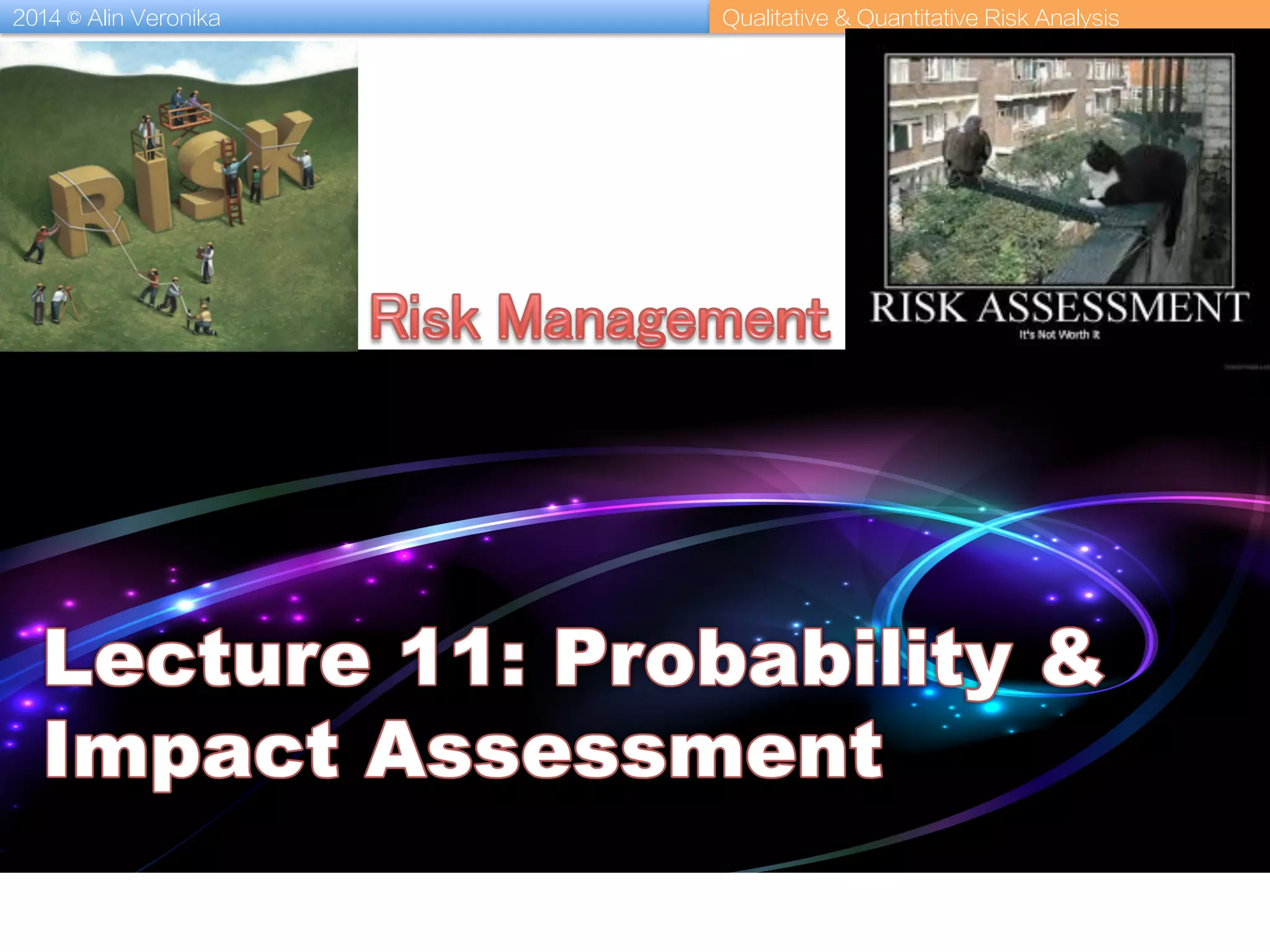 2014 © Alin Veronika Qualitative & Quantitative Risk Analysis
 