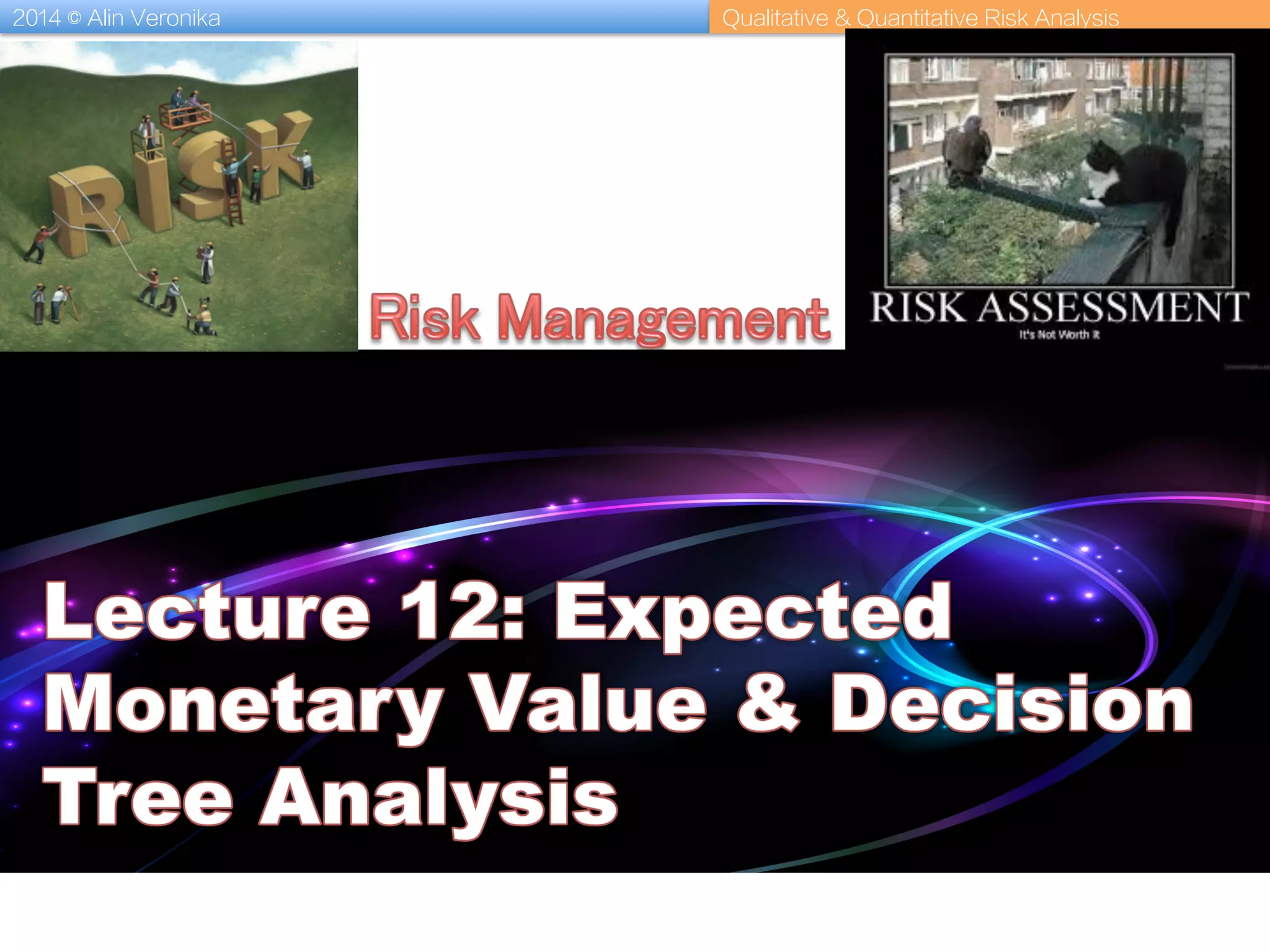 2014 © Alin Veronika Qualitative & Quantitative Risk Analysis
 